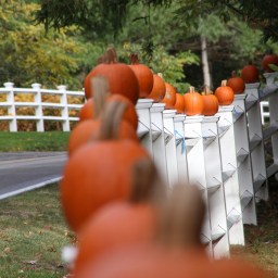 Oh no. Fall is here.