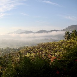 Restoration Vacation